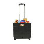 Carrello pieghevole con cestino pieghevole 25kg